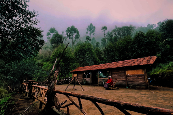 cottages in Munnar, Kerala